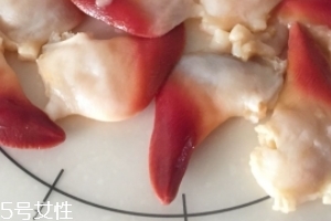 北極貝是海鮮嗎？北極貝介紹