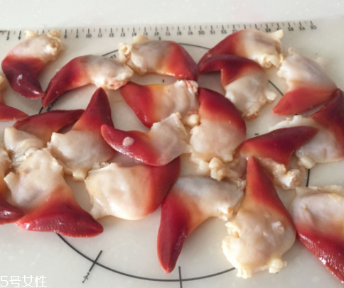 北極貝是海鮮嗎？北極貝介紹