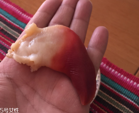 北極貝是海鮮嗎？北極貝介紹