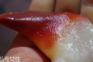 北極貝能不能煮？煮北極貝可以嗎？