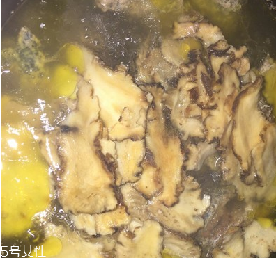 烏骨雞是烏雞嗎？烏骨雞是什么雞？