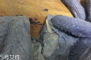 烏雞下奶嗎？烏雞怎么吃下奶？