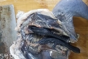 烏雞是公雞好還是母雞好？烏雞買公雞還是母雞？