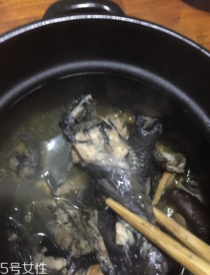 烏雞是公雞好還是母雞好？烏雞買公雞還是母雞？