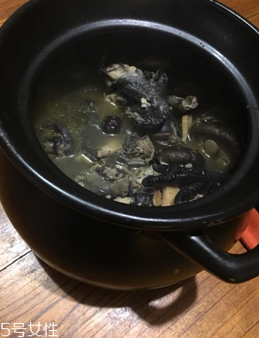 烏雞是公雞好還是母雞好？烏雞買公雞還是母雞？