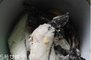 烏雞是熱性還是涼性？烏雞偏熱還是偏涼？