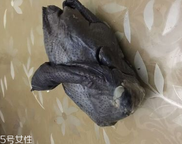烏雞是熱性還是涼性？烏雞偏熱還是偏涼？