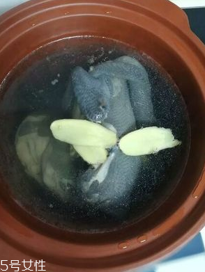 烏雞是熱性還是涼性？烏雞偏熱還是偏涼？