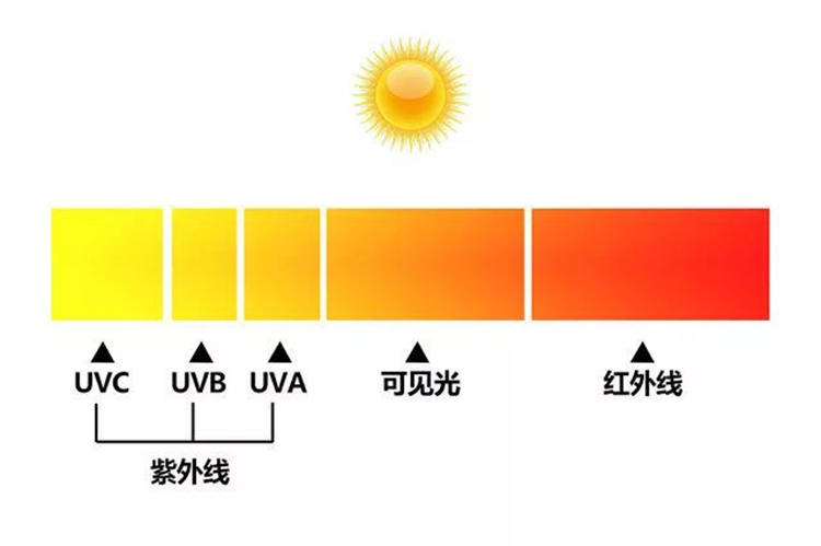 蘭嘉絲汀什么產(chǎn)品最好 蘭嘉絲汀哪里能買(mǎi)到正品