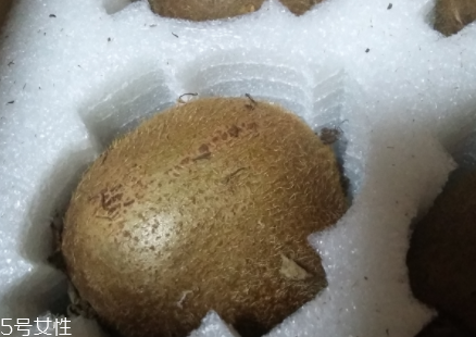 綠心獼猴桃硬的能吃嗎？硬的綠心獼猴桃能吃嗎？