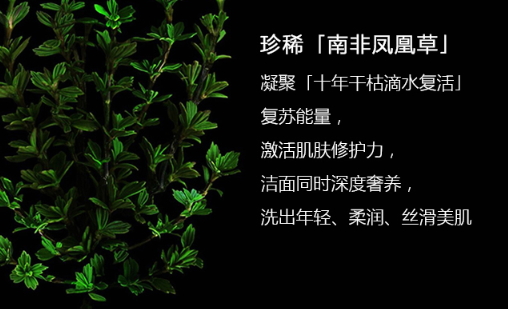 阿瑪尼洗面奶怎么樣？阿瑪尼洗面奶評(píng)測(cè)