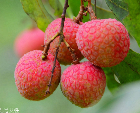 荔枝是涼性還是熱性？月經(jīng)來(lái)了能吃荔枝嗎