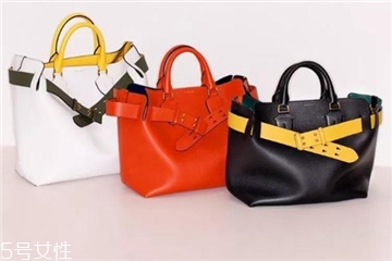 burberry the belt bag多少錢？巴寶莉貝爾特包專柜價(jià)格
