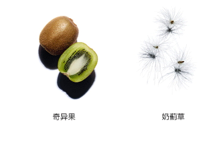 嬌韻詩雙萃精華多少錢？嬌韻詩雙萃精華容量