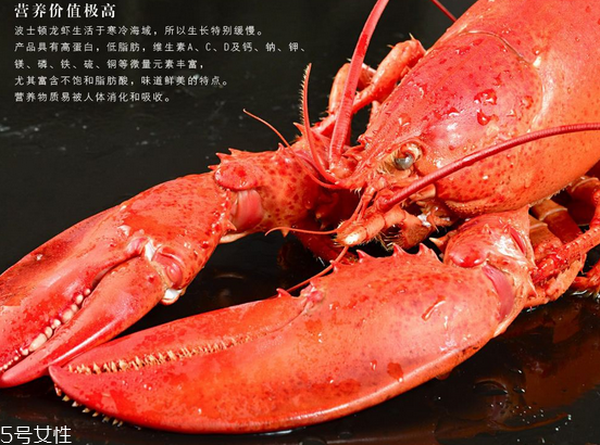 波士頓龍蝦頭里綠色的是什么？