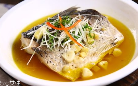 青魚怎么養(yǎng)殖?青魚好養(yǎng)嗎？