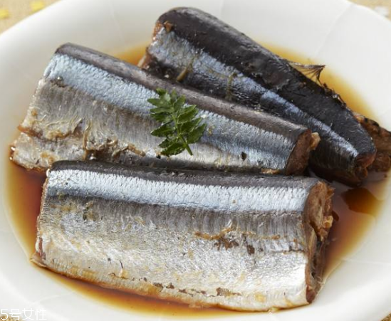 青魚(yú)怎么釣？青魚(yú)可以用什么餌料？