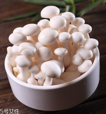 白玉菇為什么是苦的？白玉菇怎么會苦？