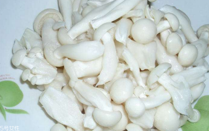 白玉菇為什么是苦的？白玉菇怎么會苦？