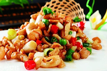 白玉菇和金針菇的區(qū)別 白玉菇是金針菇嗎？