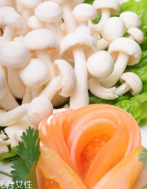 白玉菇和金針菇的區(qū)別 白玉菇是金針菇嗎？