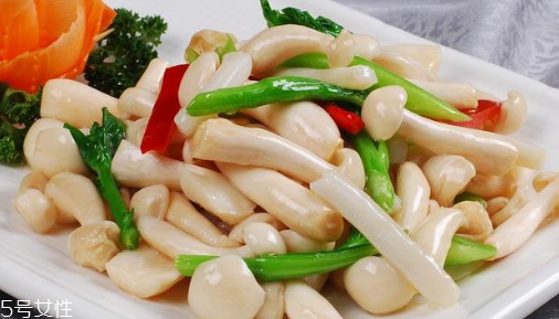 白玉菇的吃法 白玉菇能燉雞嗎？