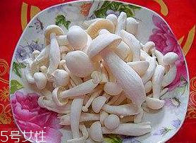 白玉菇能和西紅柿一起吃嗎？白玉菇能和番茄一起吃嗎？