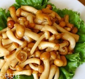 滑子菇的功效 滑子菇有什么作用？