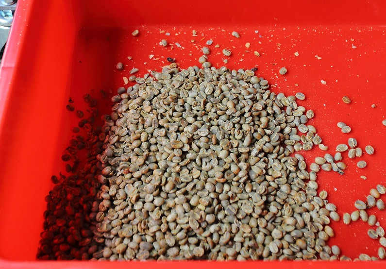 咖啡豆新豆、舊豆、老豆各有什么特色