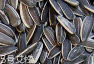 葵瓜子的熱量 葵瓜子會(huì)長(zhǎng)胖嗎？
