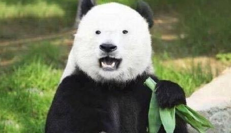 激光去黑眼圈多久恢復(fù)？激光除黑眼圈多久見(jiàn)效