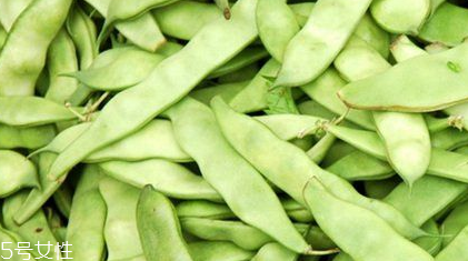 蕓豆是什么？蕓豆是豆角嗎？
