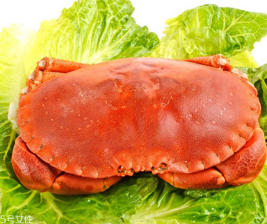 面包蟹肉多嗎？面包蟹幾月份最肥