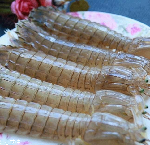 皮皮蝦能長多大？皮皮蝦最大有多大？