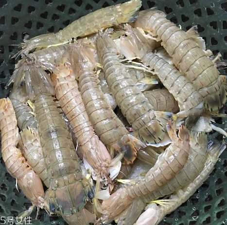 皮皮蝦能和櫻桃一起吃嗎？皮皮蝦和櫻桃可以同吃嗎？