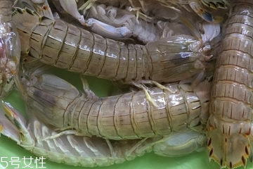 皮皮蝦皮能不能吃？皮皮蝦可以連皮吃嗎？