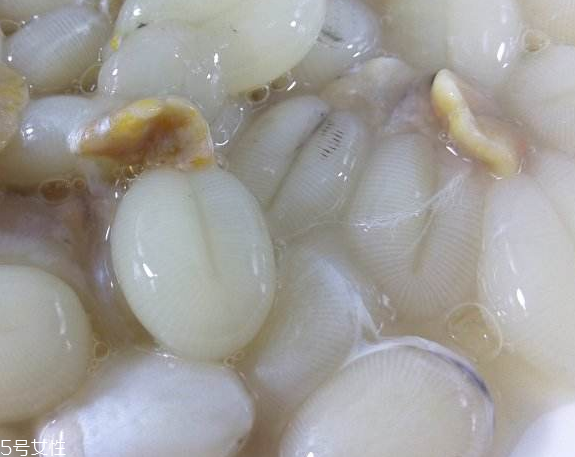 墨魚(yú)蛋的做法 墨魚(yú)蛋怎么做？