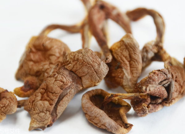 榛蘑和蘿卜相克嗎？榛蘑能不能和蘿卜一起吃？