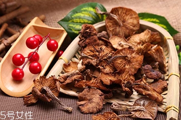 榛蘑的好處 榛蘑對人有什么益處？