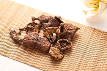 榛蘑是蘑菇嗎？榛蘑是什么蘑菇？