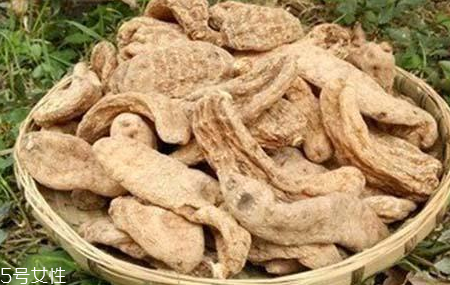榛蘑和天麻的關系 榛蘑和天麻有什么聯系？