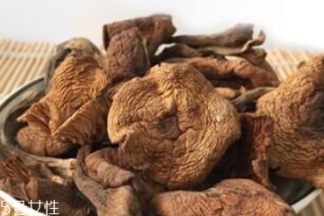 榛蘑和香菇能一起吃嗎？