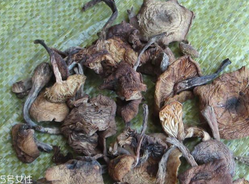榛蘑能保存多久？干榛蘑怎么保存最好？