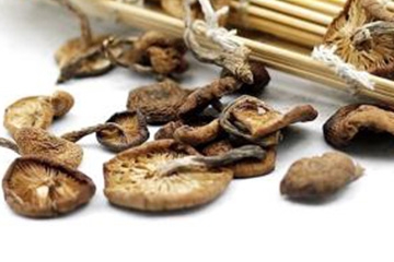 榛蘑可以煲鴨肉嗎？榛蘑可以煲鴨肉