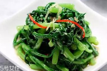 菊花腦是溫性還是涼性？菊花腦是涼性嗎？