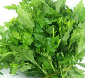 菊花腦是苦的嗎？菊花腦苦不苦？