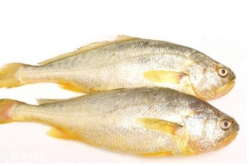 黃花魚清蒸多長時間？黃花魚清蒸的做法