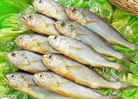 黃花魚去鱗嗎？黃花魚去內(nèi)臟嗎？