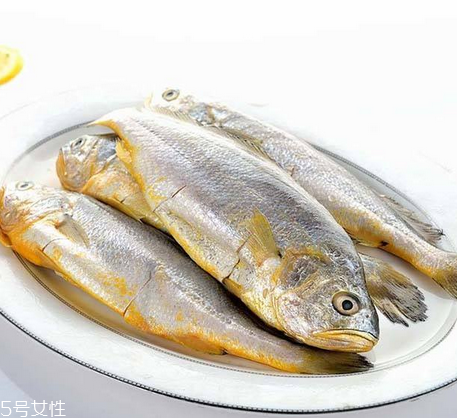 黃花魚為什么都是死的？死黃花魚可以吃嗎？