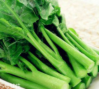 芥蘭是芥菜嗎？芥蘭和芥菜的區(qū)別
